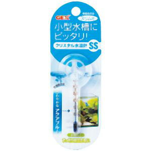 yWFbNX GEXzWFbNX NX^v SS ANAu[