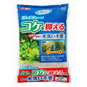 yWFbNX GEXzWFbNX xXgTh 3L