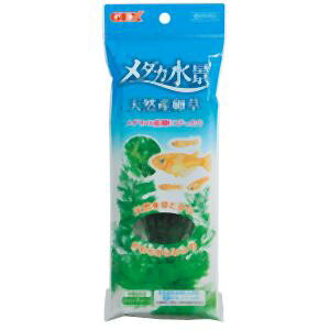 yWFbNX GEXzWFbNX _Ji VRY _J Ϗ܋