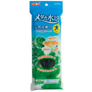 yWFbNX GEXzWFbNX _Ji VRY 