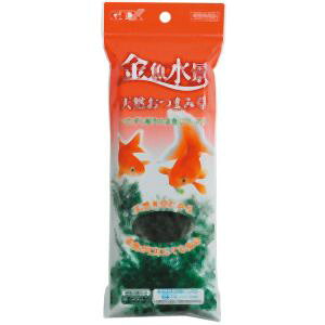 yWFbNX GEXzWFbNX i VR܂ݑ