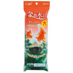 yWFbNX GEXzWFbNX i VR܂ݑ 