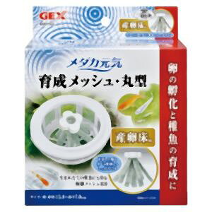 yWFbNX GEXzWFbNX _JC 琬bV ی^ Yt