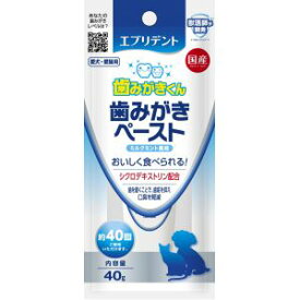 【アースペット EARTH】アースペット エブリデント 歯みがきペースト 40g