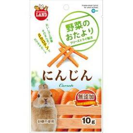 【マルカン MG】マルカン 野菜のおたより にんじん 10g うさぎ ハムスター モルモット おやつ