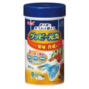 yWFbNX GEXzWFbNX Obs[C voCIɐB 琬pt[h 52g