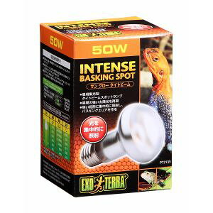 yWFbNX GEXzWFbNX TO[^Cgr[ oXLOX|bgv 50W PT2135