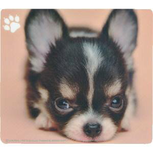 yTTvC SANWA SUPPLYz}EXpbh(`) MPD-215C