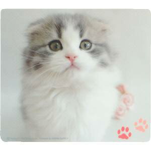 yTTvC SANWA SUPPLYz}EXpbh(XReBbVtH[h) MPD-215E