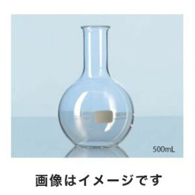 【SCHOTT/DURAN】SCHOTT/DURAN 平底フラスコ 500mL 2-1967-04 217114405