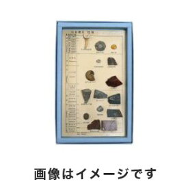 【東京サイエンス】東京サイエンス 化石標本15種 FS003 3-654-04 先カンブリア時代、古生代、中生代、新生代