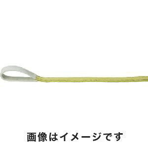 ygXR TRUSCOzgXR |GXeXO [AC` 25mm×0.5m TPS25-05