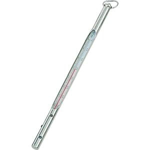 y^W} TAJIMAz^W} M-ONDO ڗpxv