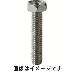 ygXR TRUSCOzgXR \tZp{g XeX M6×12 13{ Y303-0612