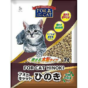 yVkwHƁzVkwH tH[Lbg Ђ̂ 7L