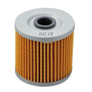 yfCgi DAYTONAzfCgi 98743 ICtB^[ GXgAA250TR DAYTONA