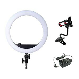 �yLPL�zLPL L27855 LED���C�g�r���[�e�B�[�t�F�C�X VLR-F300XP
