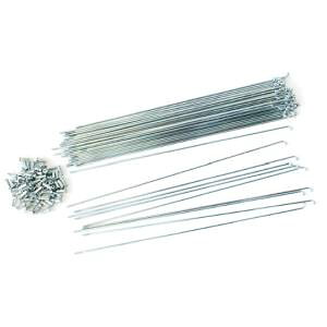 �y�I�����p�X orinpas�z�I�����p�X �X�|�[�N13x272 CP ���b�L