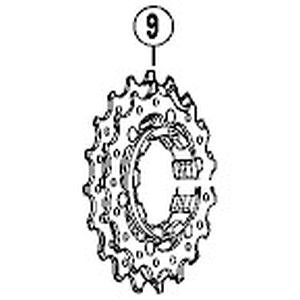 yV}m SHIMANOzV}m SHIMANO Y1YZ98040 MAjbg 17-18T 12-23Tp