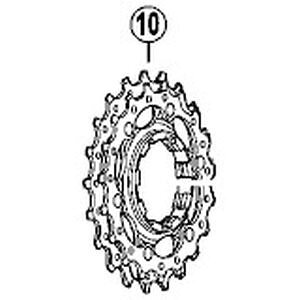 yV}m SHIMANOzV}m SHIMANO Y1YZ98080 MAjbg 19-21T
