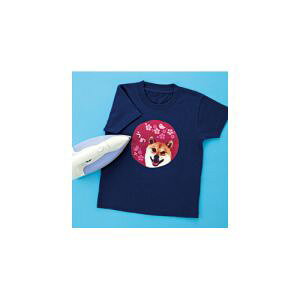 �y�T�����T�v���C SANWA SUPPLY�z�C���N�W�F�b�g�J���[�z�p�A�C�����v�����g�� JP-TPRCLN-10