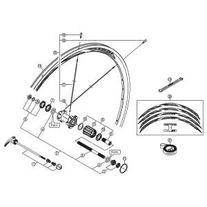 yV}m SHIMANOzV}m SHIMANO Y49V98030 WH-RS21 CL R bNibgjbg