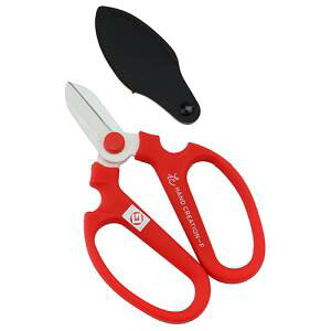 y⌹z⌹ F-170 nhNG[V