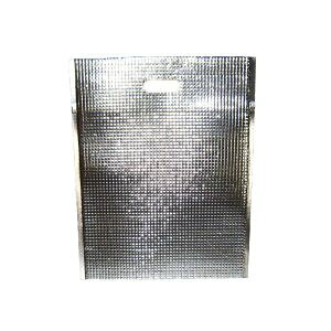 y] EBzEBM ۗ ۉobO GXP[N[ Vo[ 10 LC-L ]