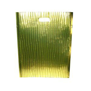 y] EBzEBM ۗ ۉobO GXP[N[ S[h 10 LC-L ]