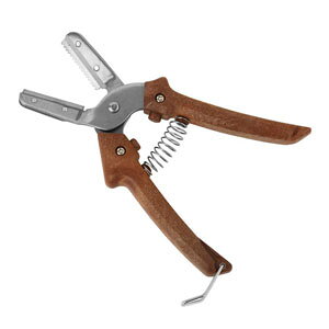 yaؐ쏊 SHIBUKIzI̔ނ