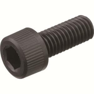 �y�g���X�R TRUSCO�z�g���X�R BRENY-BKCBM5X20 �K���X�@�ۋ����|���A�~�hMXD6 RENY�� �Z�p���t�{���g M5X20 50�{�� TRUSCO