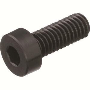 �y�g���X�R TRUSCO�z�g���X�R BRENY-BKLCM5X20 �K���X�@�ۋ����|���A�~�hMXD6 RENY �Z�p���t�ᓪ�{���g M5X20 50�{�� TRUSCO