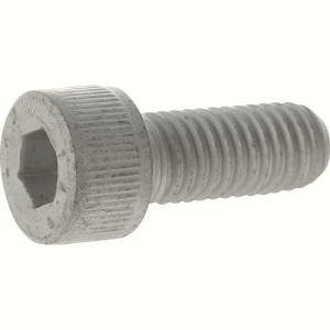 �y�g���X�R TRUSCO�z�g���X�R Y149D-1235 14.9�����x�Z�p���t�{���g �X�`-�� �f���^�v���e�N�g �S�˂� M12X35 2�{�� TRUSCO