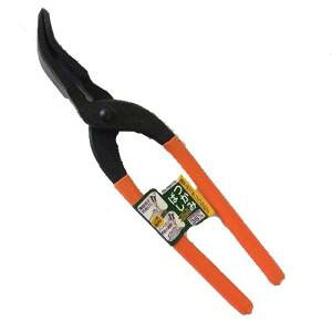 y^ CHzCH ݔ 36mm