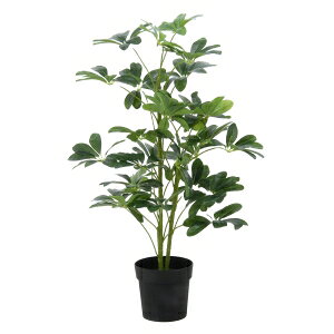 IIysfՁzsf htJmL 216 17281 [J[ s kCꗣsysmtb-uz