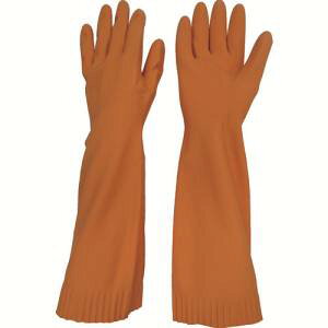 yaR[|[Vzg 215 VRS g[uVRS胍O IW MTCY aR[|[V