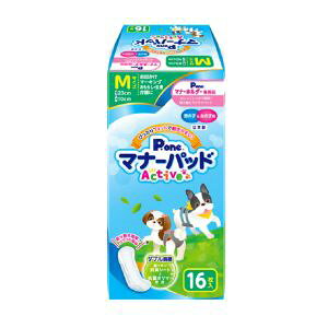 yqށzq j̎q & ̎qp }i[pbh ANeBu MTCY 16 P.one