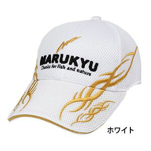 y}L[z}L[ }L[gCobVLbv01 zCg L 17350