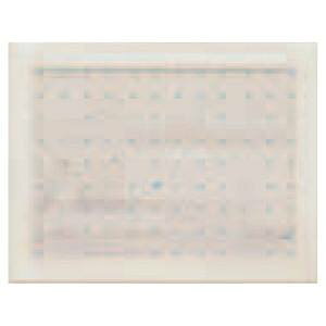�y���z�� PGMBD32G-3 �z�t�{�[�hEX 341×265mm S�z���C�g