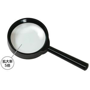 yA[ebN ArTeczA[ebN ߂ S 5{ 3564