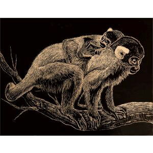 yA[ebN ArTeczA[ebN S[hXNb`{[hA4 13246