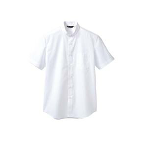 yZuzZu BS2592-2 Vc p   6L jp