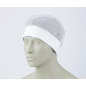 yZuzZu HN-11 wA[lbg(10)p  t[ jp