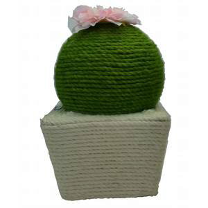 yybgAC PET&izybgAC ܂Ƃ T{e