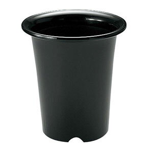 yb`F Richellzb`F m 8 ubN