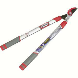 yL{V KINBOSHIzL{V GS 2043L V^A~ GbWtLk} [J[ s kC  s