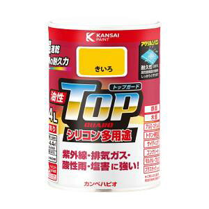 �y�J���y�n�s�I KANSAI�z�J���y�n�s�I 119-0554 �J���y �����g�b�v�K�[�h0.4L������