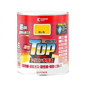 �y�J���y�n�s�I KANSAI�z�J���y�n�s�I 119-0551 �J���y �����g�b�v�K�[�h1.6L������
