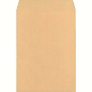 �y�L���O�R�[�|���[�V�����z�L���O�R�[�|���[�V���� 150101 �p�`2�� 85g �I�����p�X 500����