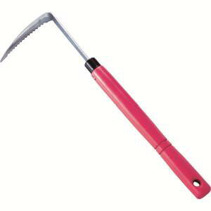 yhEJzhEJ DK695  RR sN 